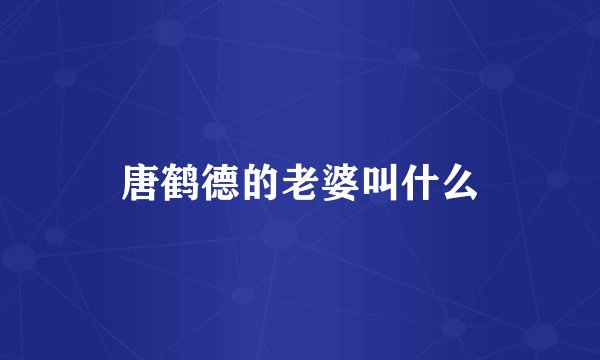 唐鹤德的老婆叫什么