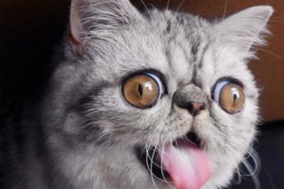 妈呀是什么意思