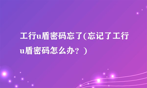 工行u盾密码忘了(忘记了工行u盾密码怎么办？)