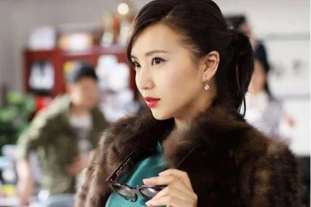 陈好演过的电视剧全部