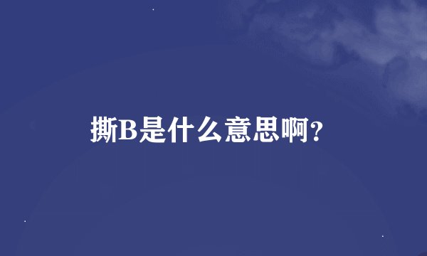 撕B是什么意思啊？