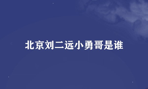 北京刘二远小勇哥是谁
