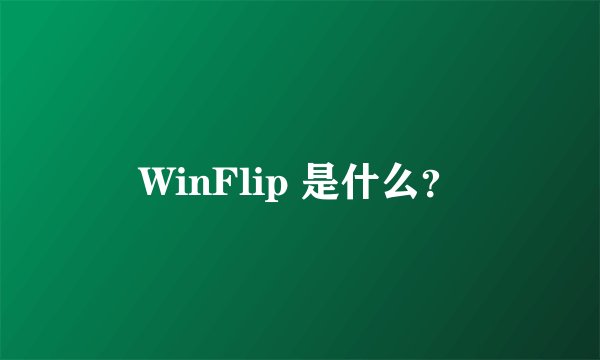 WinFlip 是什么？