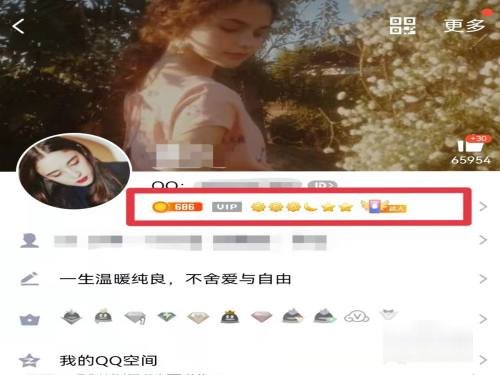 如何查看自己的QQ达人等级?