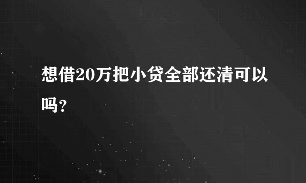 想借20万把小贷全部还清可以吗？