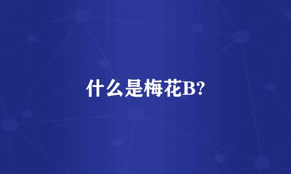 什么是梅花B?