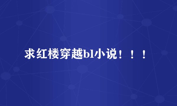 求红楼穿越bl小说！！！