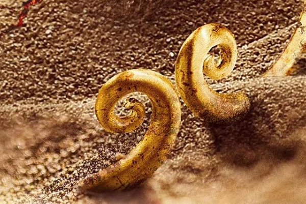 陈龙主演过的电影