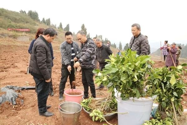 中央电视台的《致富经》栏目真的能让人致富吗？