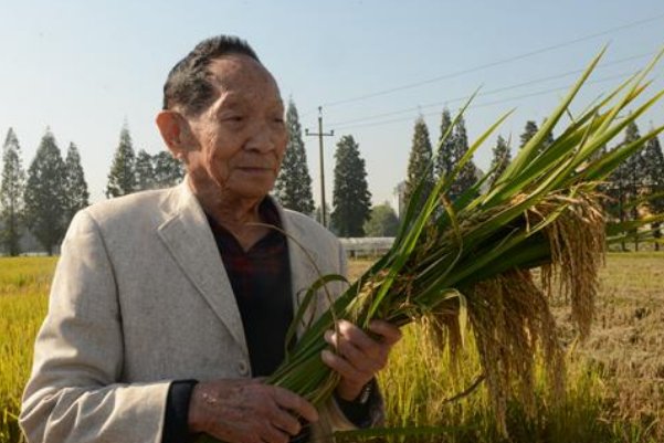 快乐大本营停播一期,这是为啥?