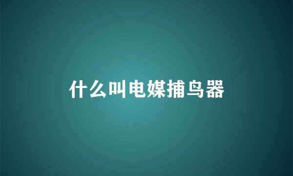 什么叫电媒捕鸟器