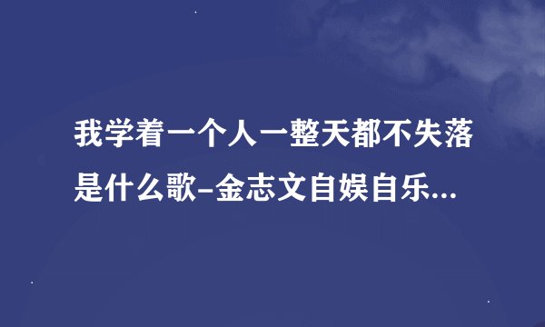我学着一个人一整天都不失落是什么歌-金志文自娱自乐歌曲完整版歌词