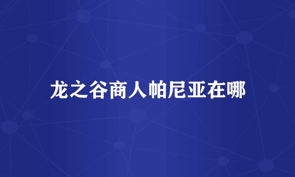 龙之谷商人帕尼亚在哪