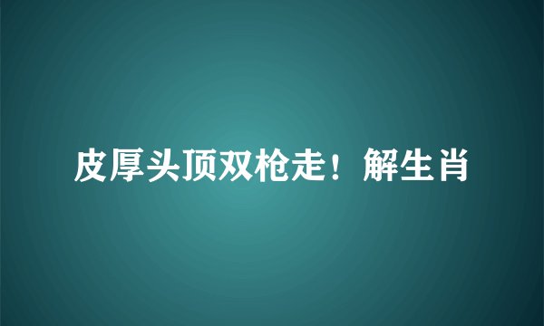 皮厚头顶双枪走！解生肖