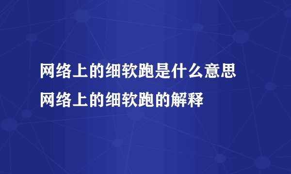 网络上的细软跑是什么意思 网络上的细软跑的解释