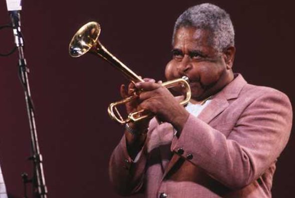 号手是什么意思