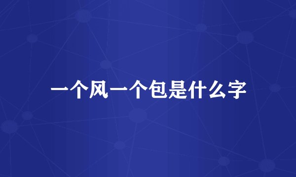 一个风一个包是什么字