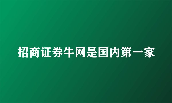 招商证券牛网是国内第一家