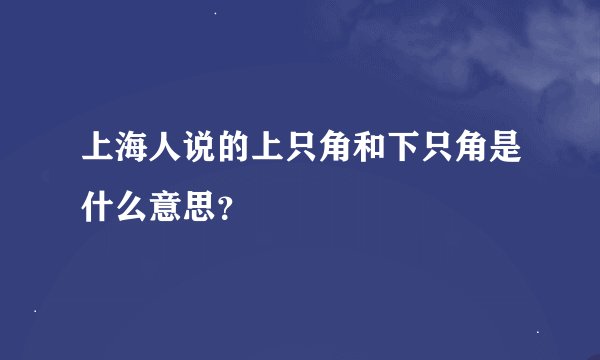 上海人说的上只角和下只角是什么意思？
