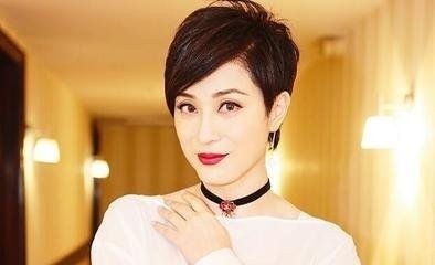 陈法蓉演过的所有电视剧