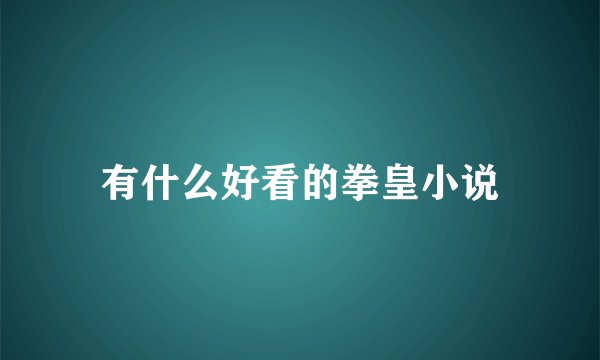 有什么好看的拳皇小说
