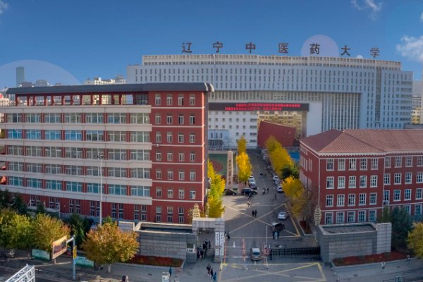 辽宁招生办公室电话