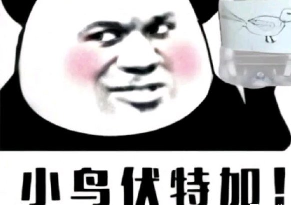 《小鸟伏特加》洗脑神曲是什么？