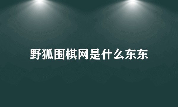 野狐围棋网是什么东东