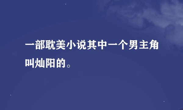 一部耽美小说其中一个男主角叫灿阳的。