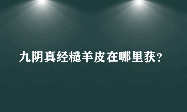 九阴真经糙羊皮在哪里获？