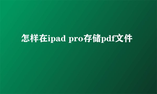 怎样在ipad pro存储pdf文件