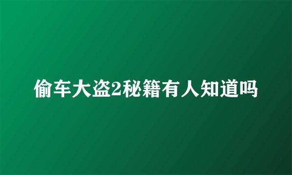 偷车大盗2秘籍有人知道吗