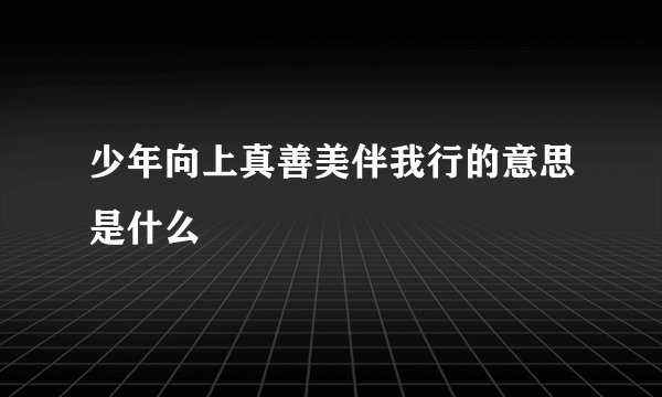 少年向上真善美伴我行的意思是什么