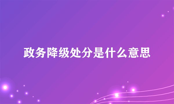 政务降级处分是什么意思