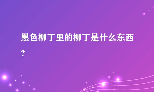 黑色柳丁里的柳丁是什么东西？