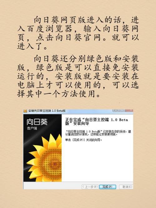 向日葵网页版怎么进