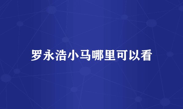罗永浩小马哪里可以看