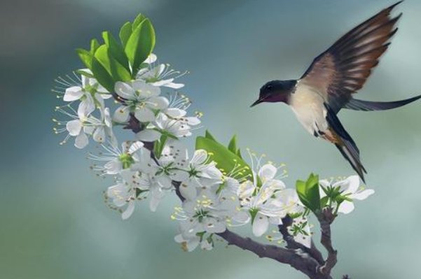 程氏爱鸟原文及翻译