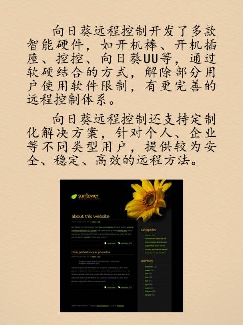 向日葵网页版怎么进