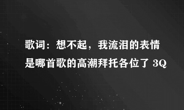 歌词：想不起，我流泪的表情是哪首歌的高潮拜托各位了 3Q