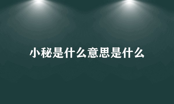 小秘是什么意思是什么