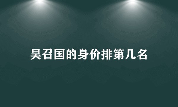 吴召国的身价排第几名