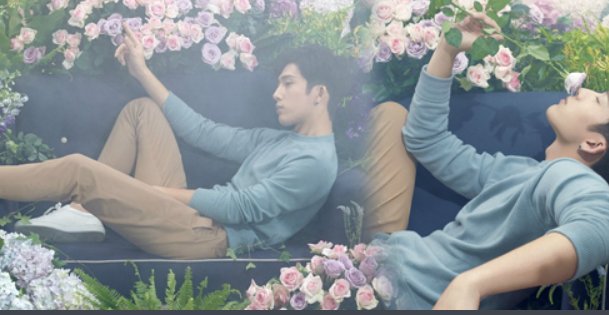 井柏然演的电视剧有哪些