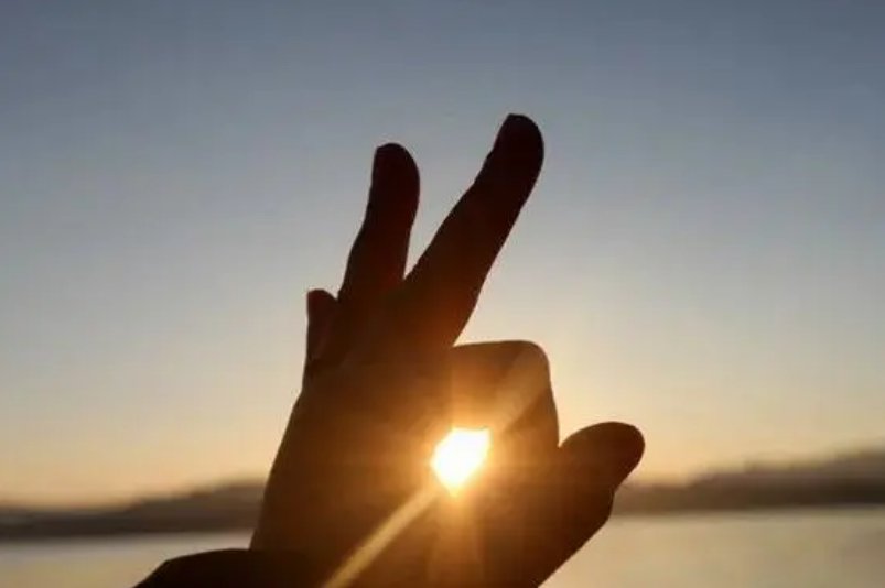 纷嚣是什么意思解释