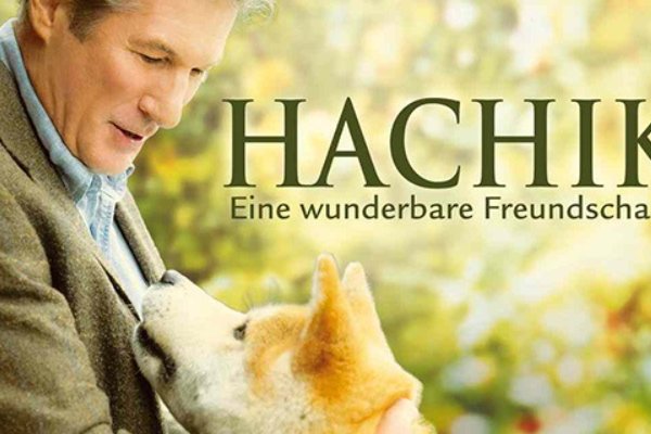 人与禽类的电影