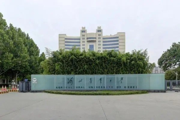 hebau是哪个大学