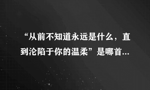 “从前不知道永远是什么，直到沦陷于你的温柔”是哪首歌的歌词？