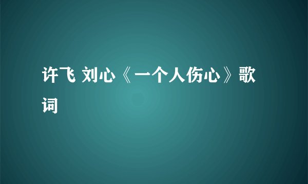 许飞 刘心《一个人伤心》歌词