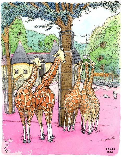 秋色妄想日和的介绍