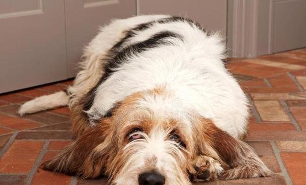 年轻人选择躺平可耻吗？